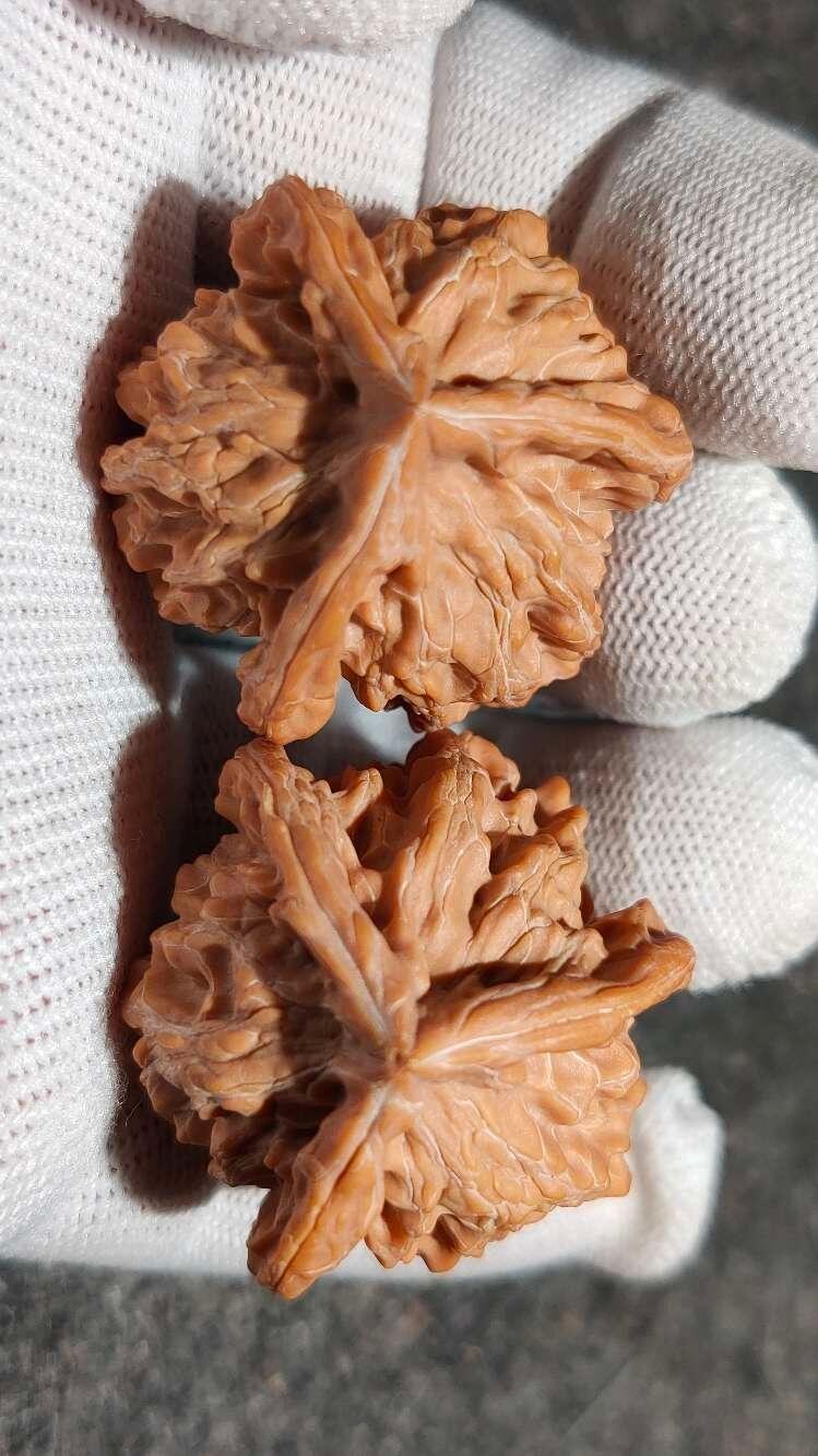 ❤️盘山公子帽三棱核桃(30141) 尺寸边到肚35.35.35mm高38mm