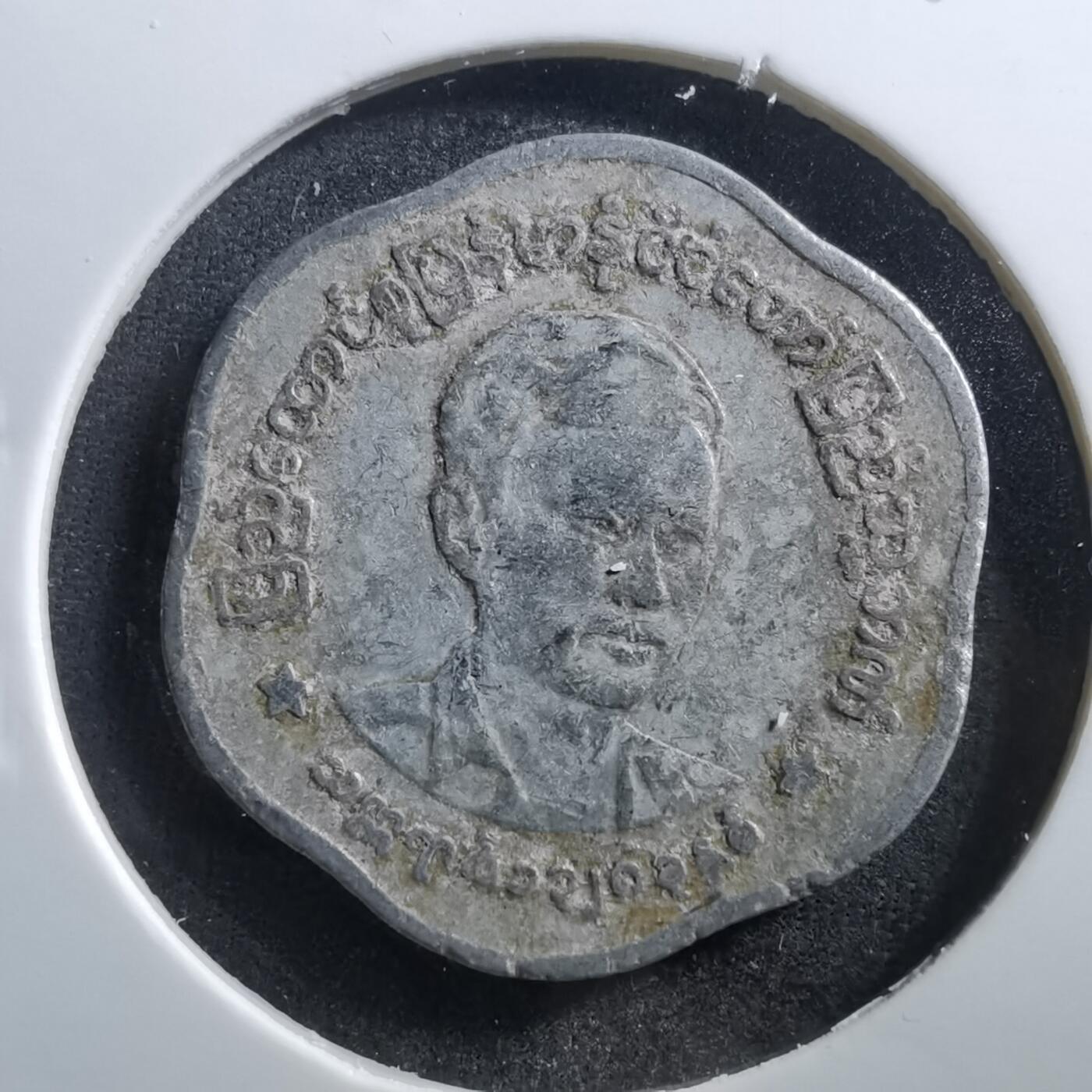 沼泽如烟--第703场