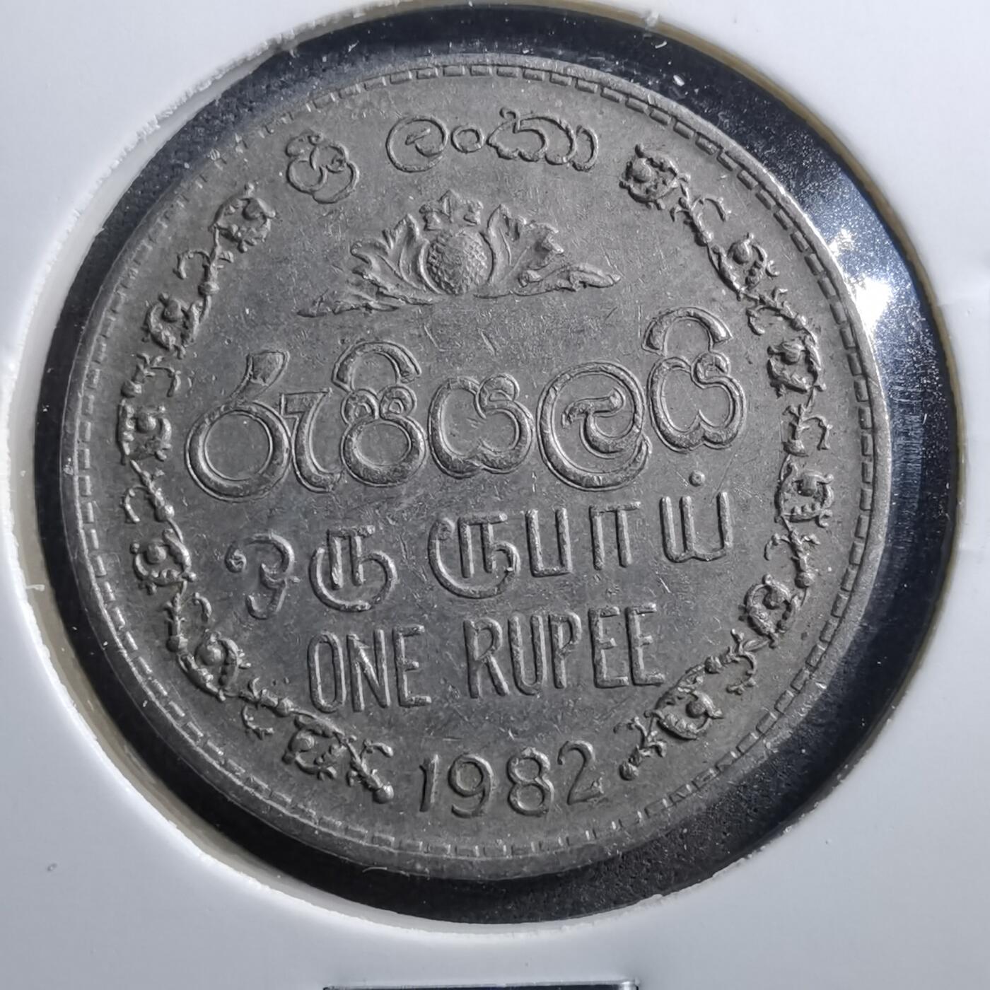 沼泽如烟--第703场