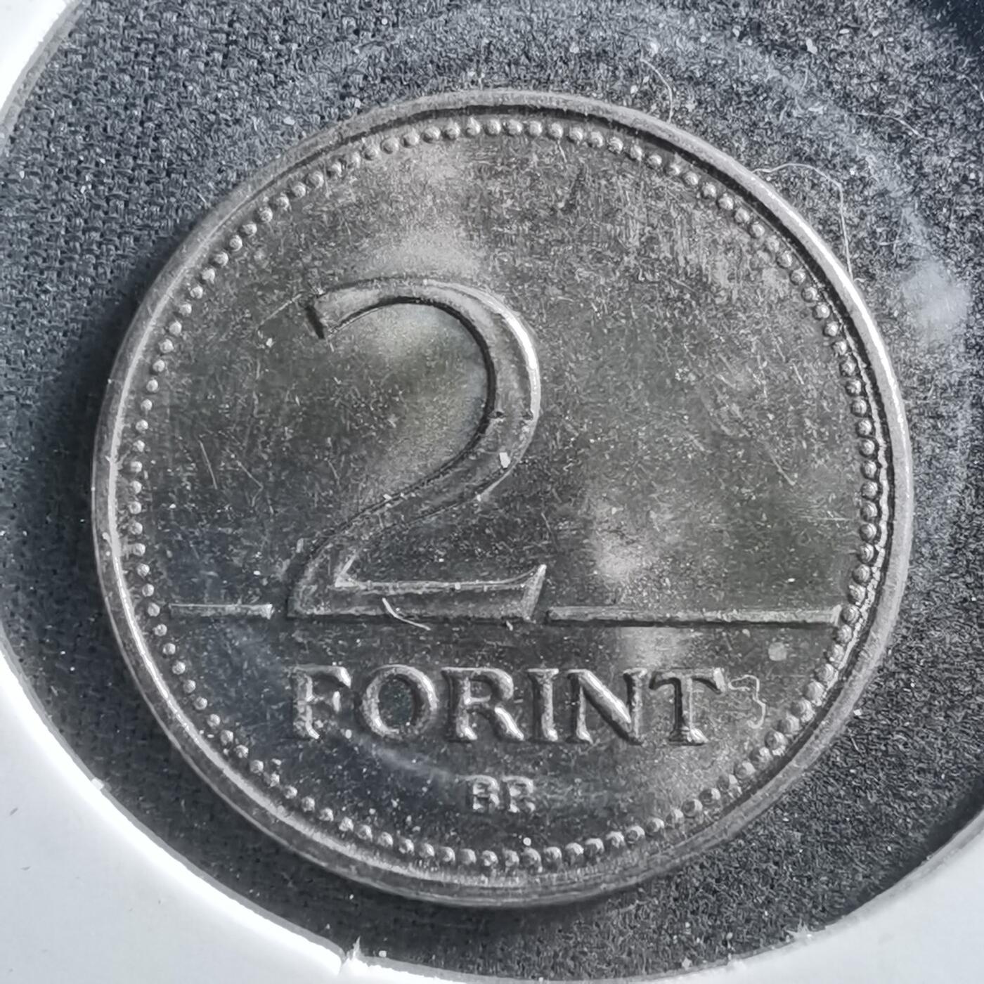 沼泽如烟--第703场