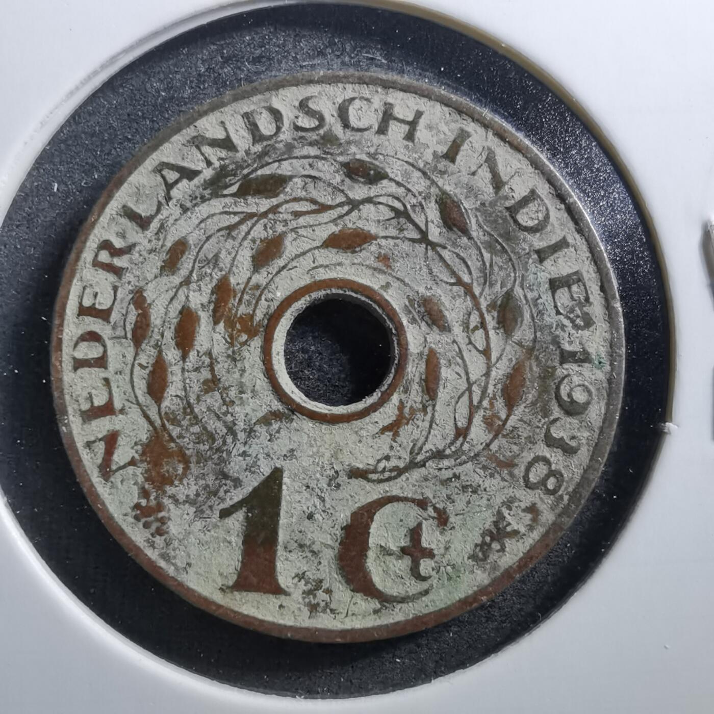 沼泽如烟--第703场