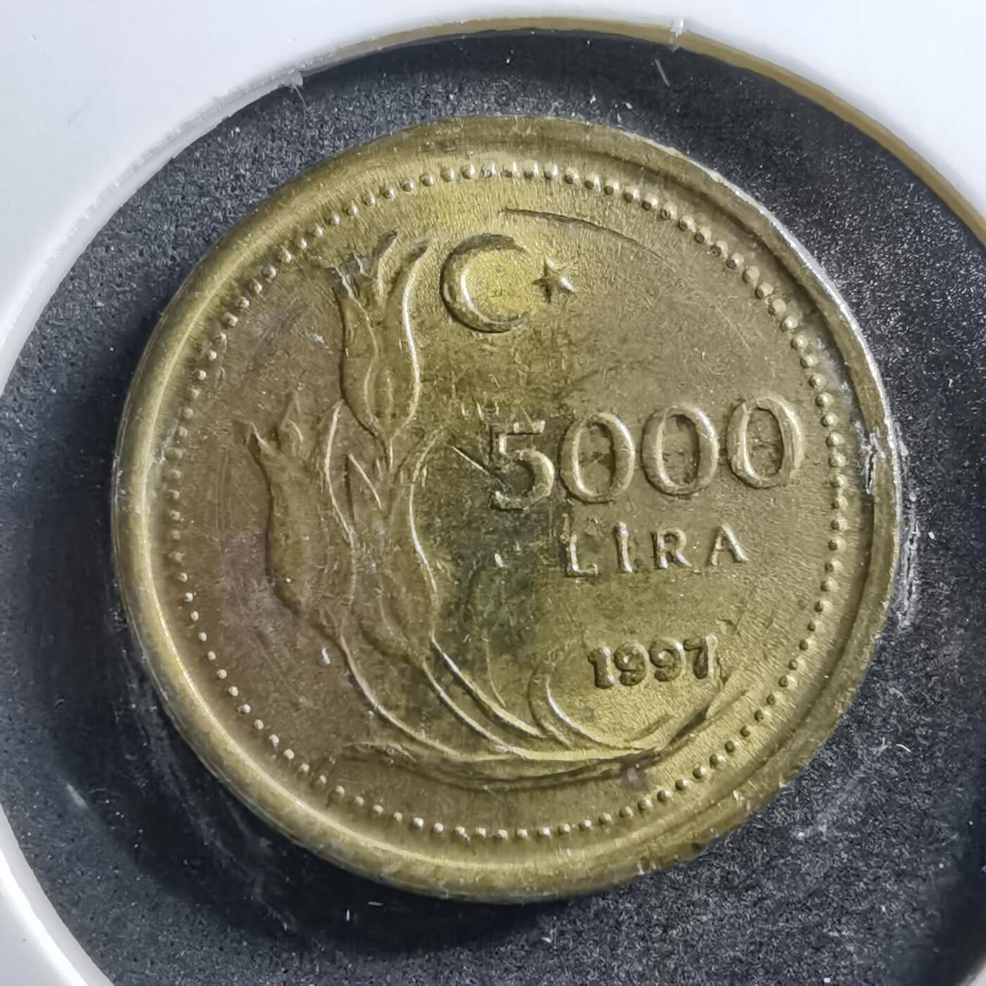 沼泽如烟--第703场