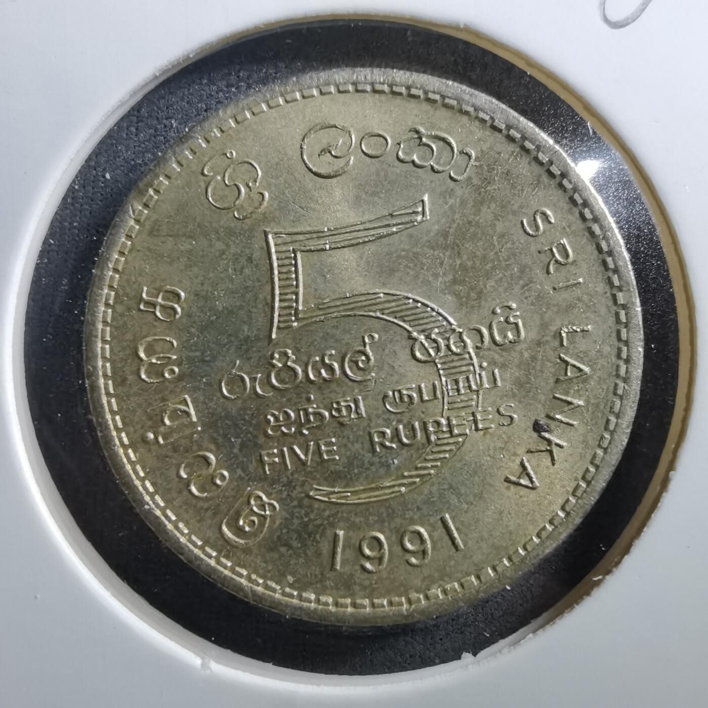 沼泽如烟--第703场