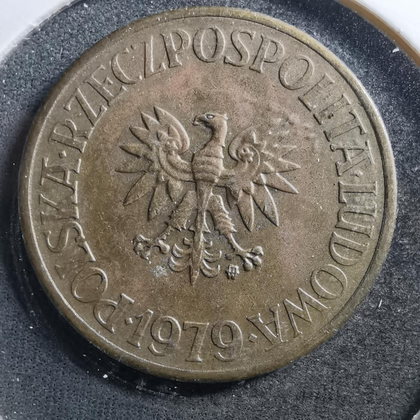 沼泽如烟--第703场