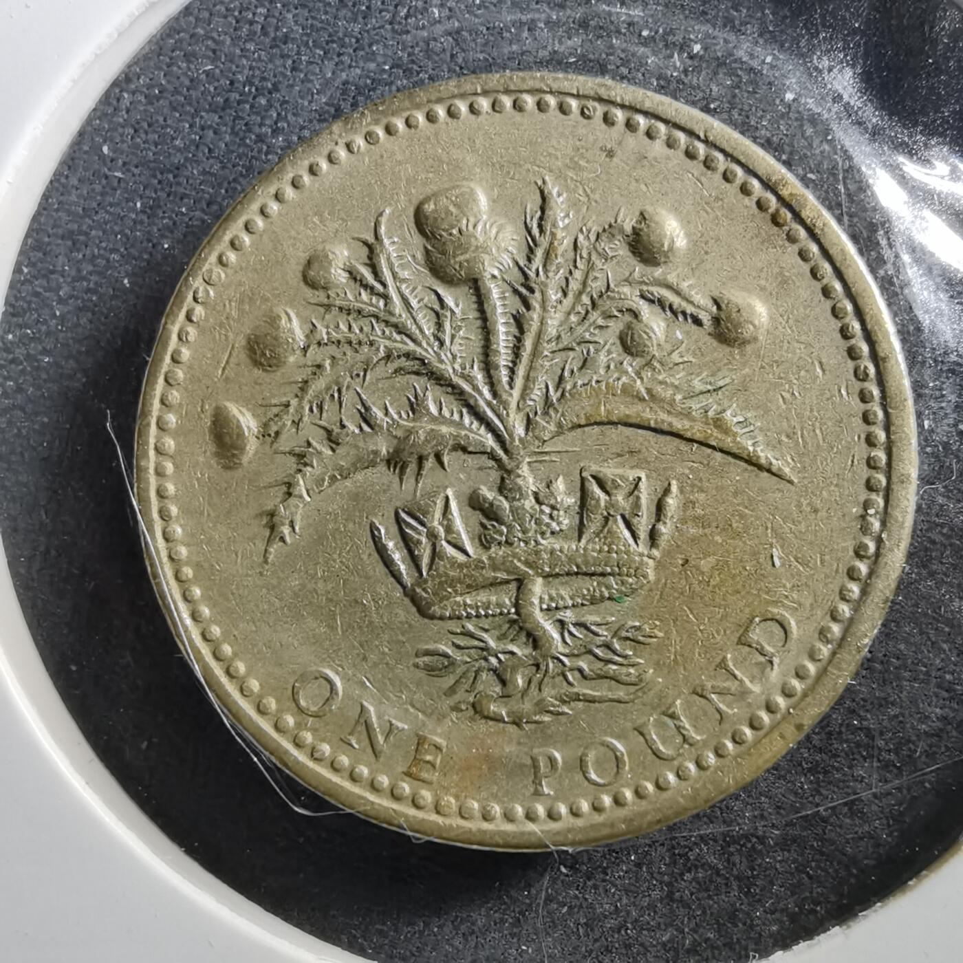 沼泽如烟--第703场