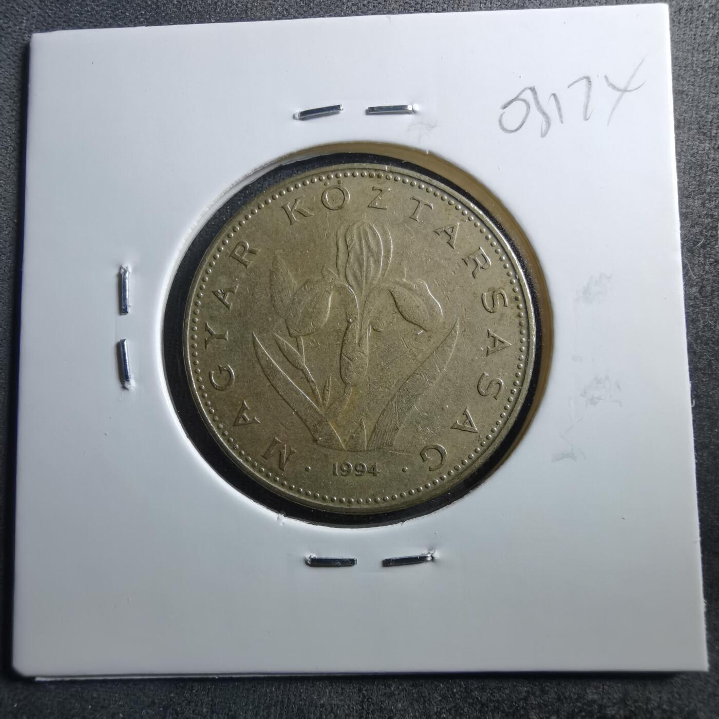 沼泽如烟--第703场