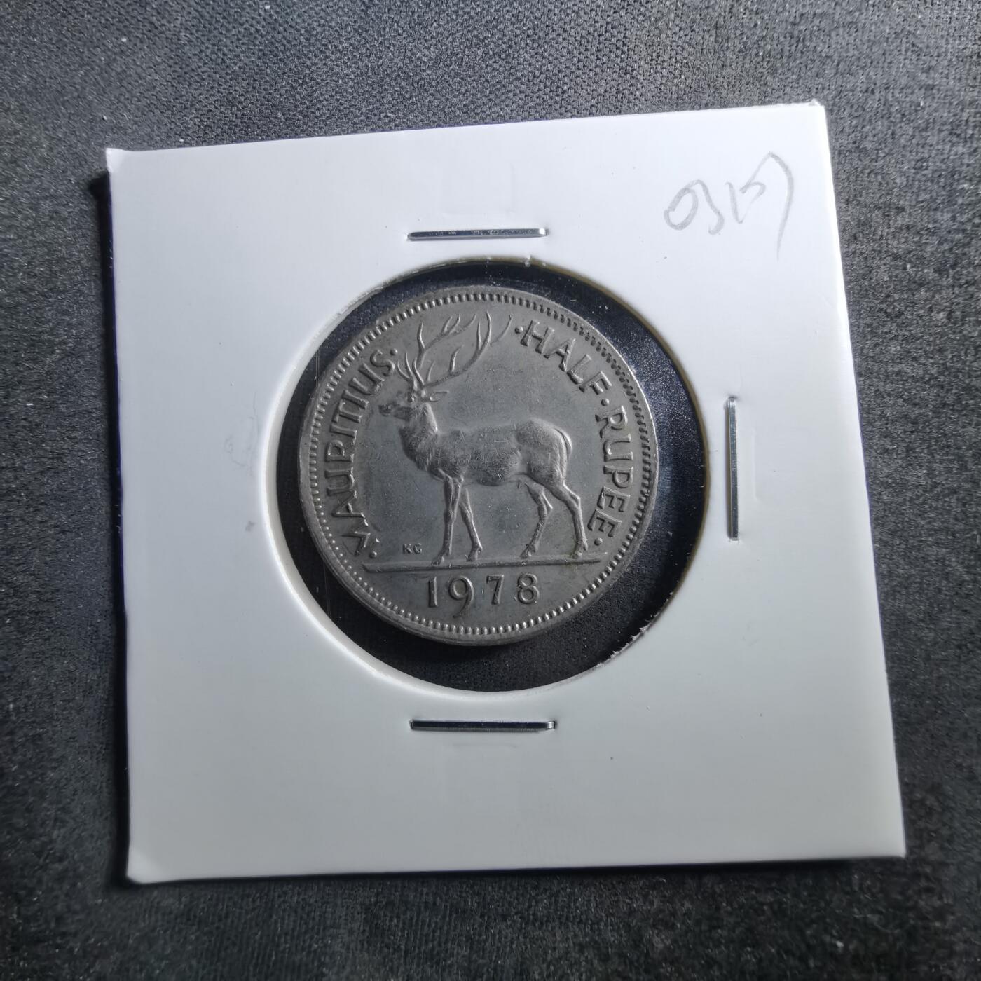 沼泽如烟--第703场