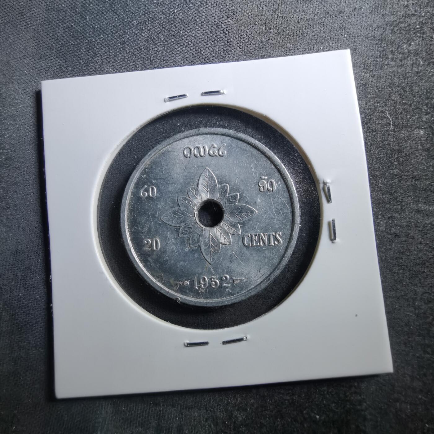 沼泽如烟--第703场