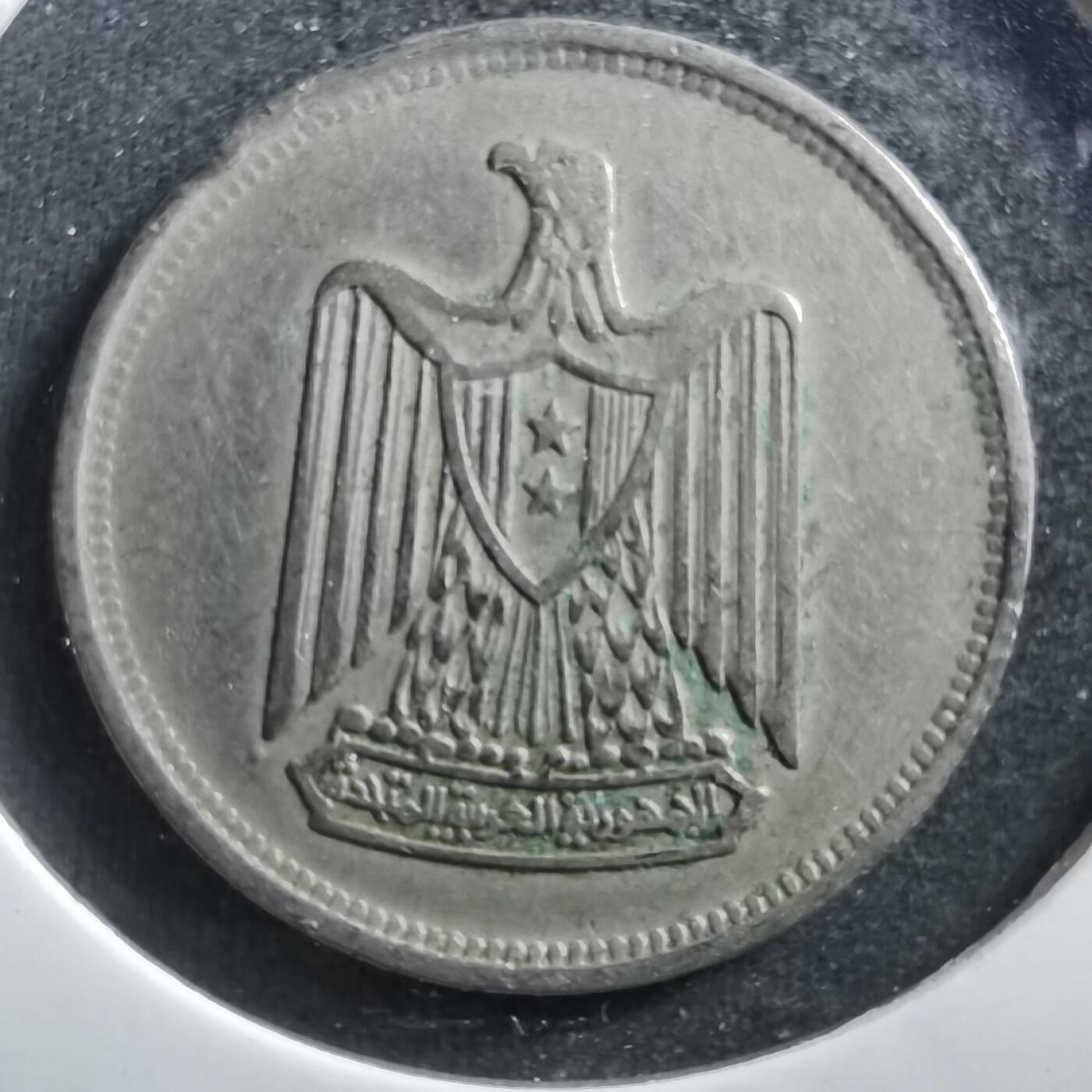 沼泽如烟--第703场