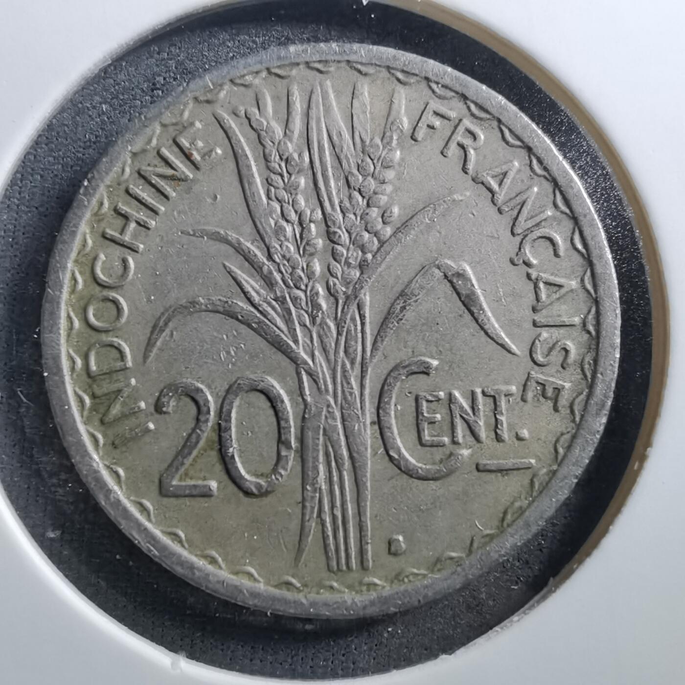 沼泽如烟--第703场