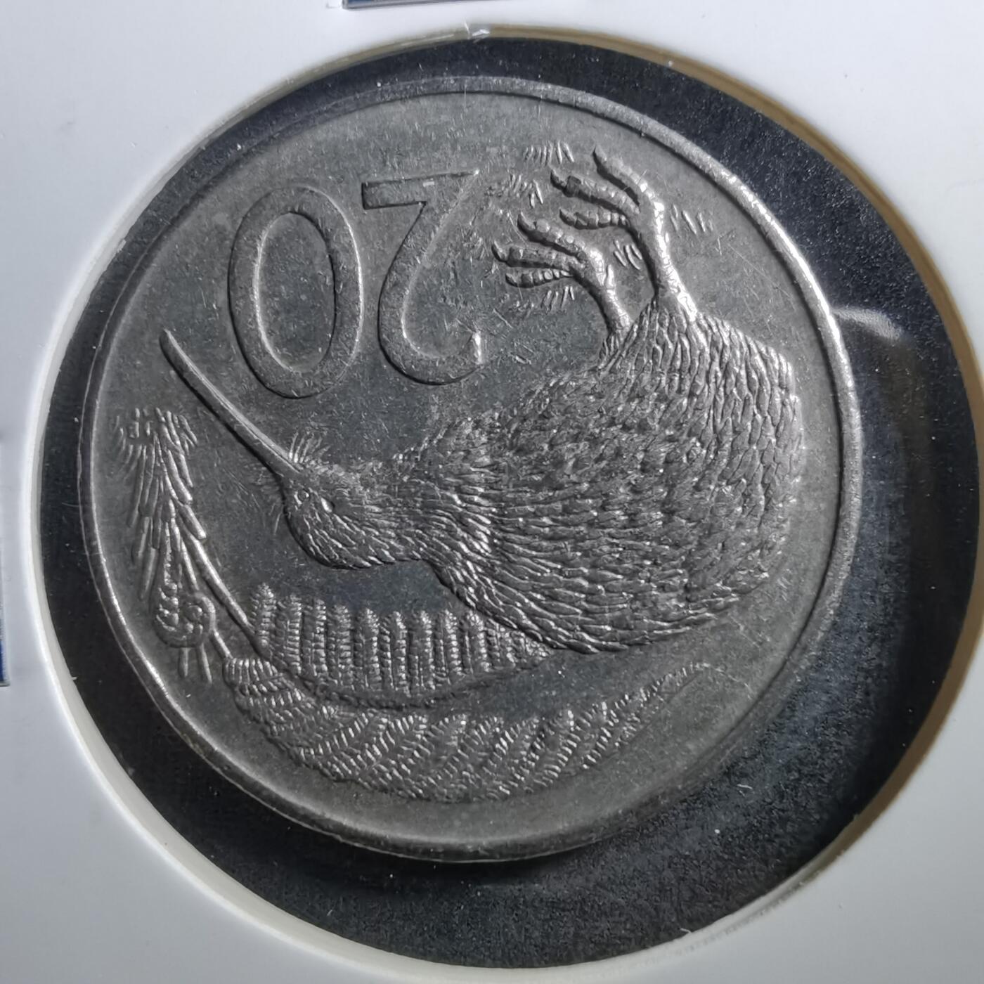 沼泽如烟--第703场