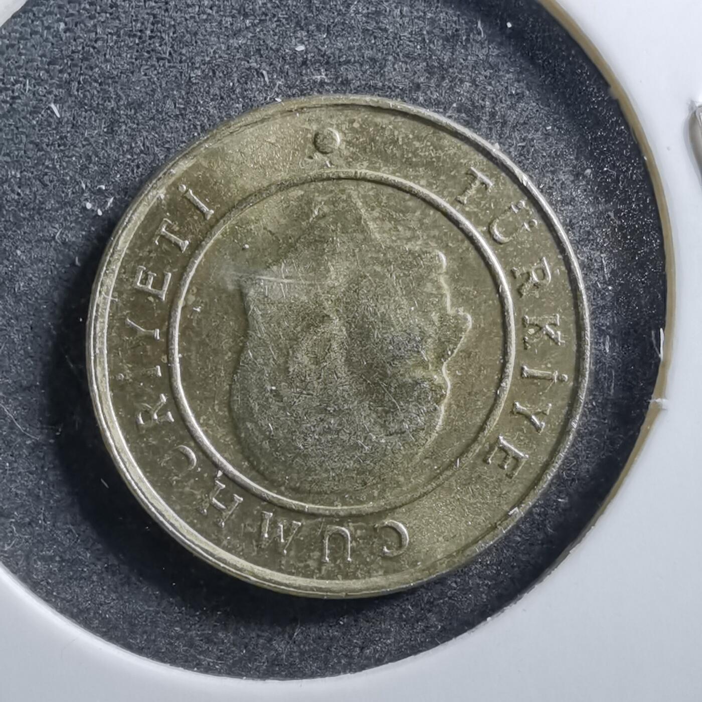 沼泽如烟--第703场