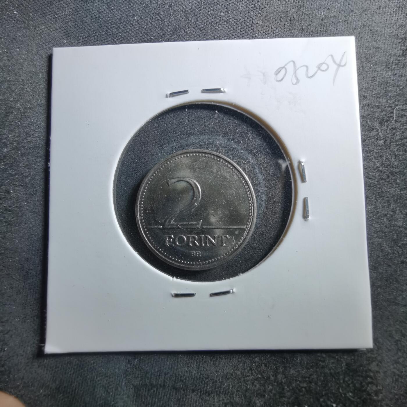 沼泽如烟--第703场