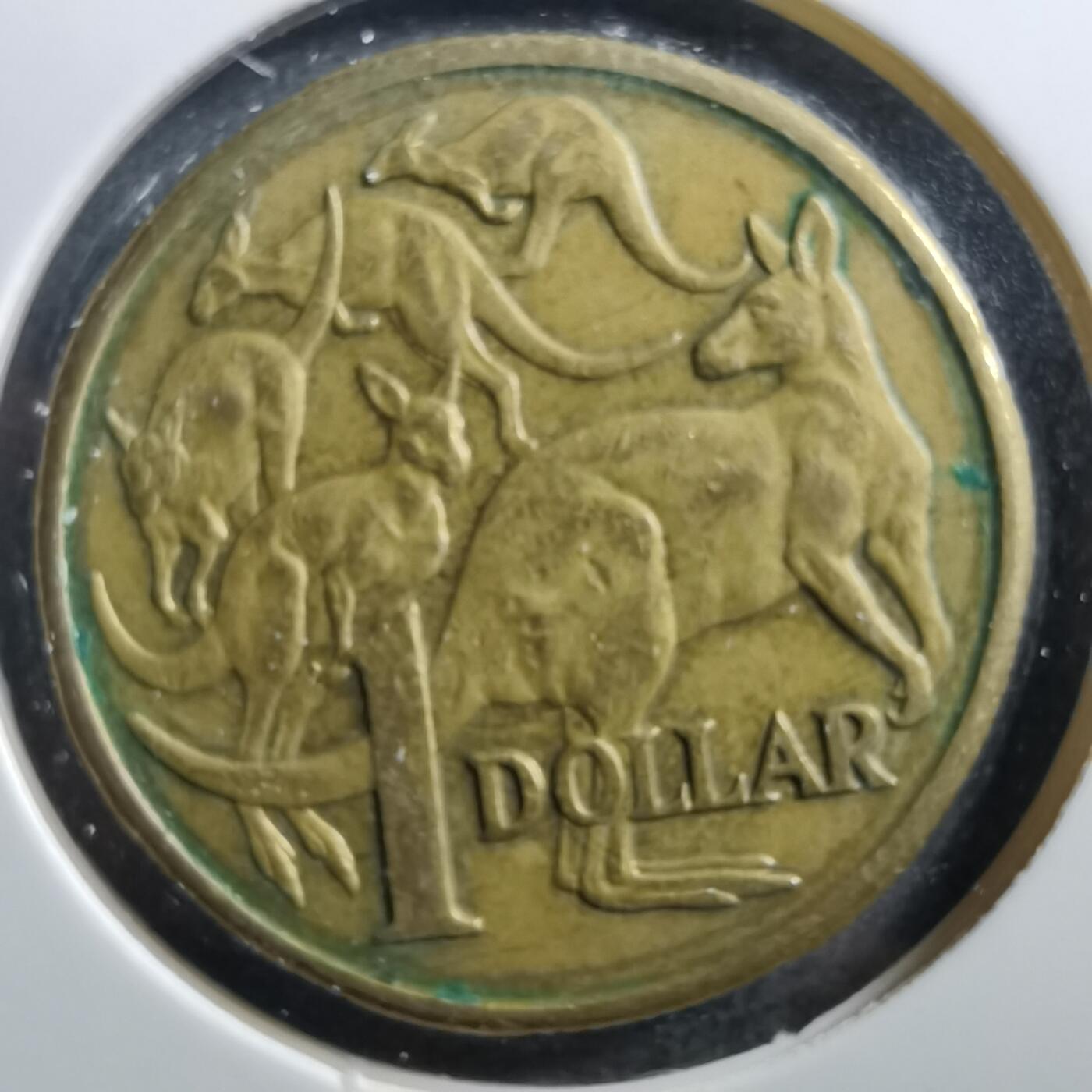 沼泽如烟--第703场