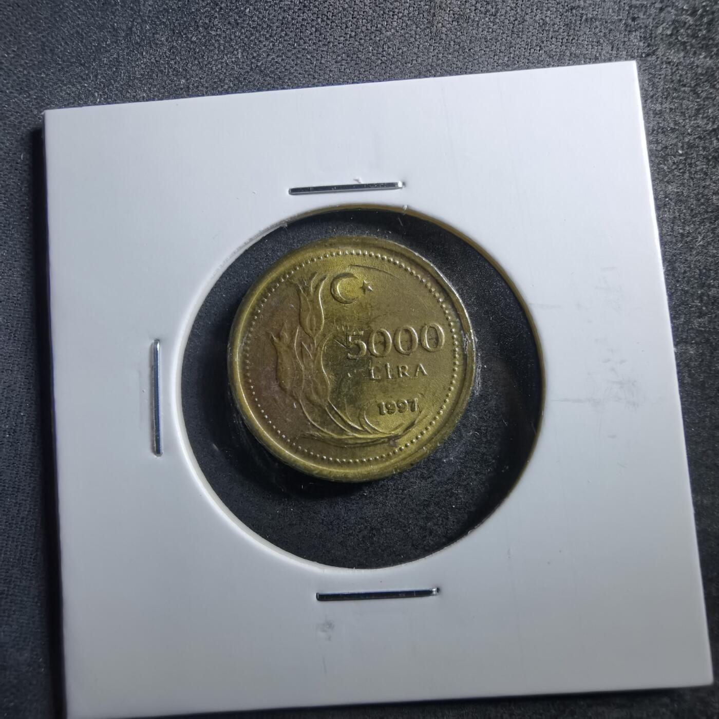 沼泽如烟--第703场