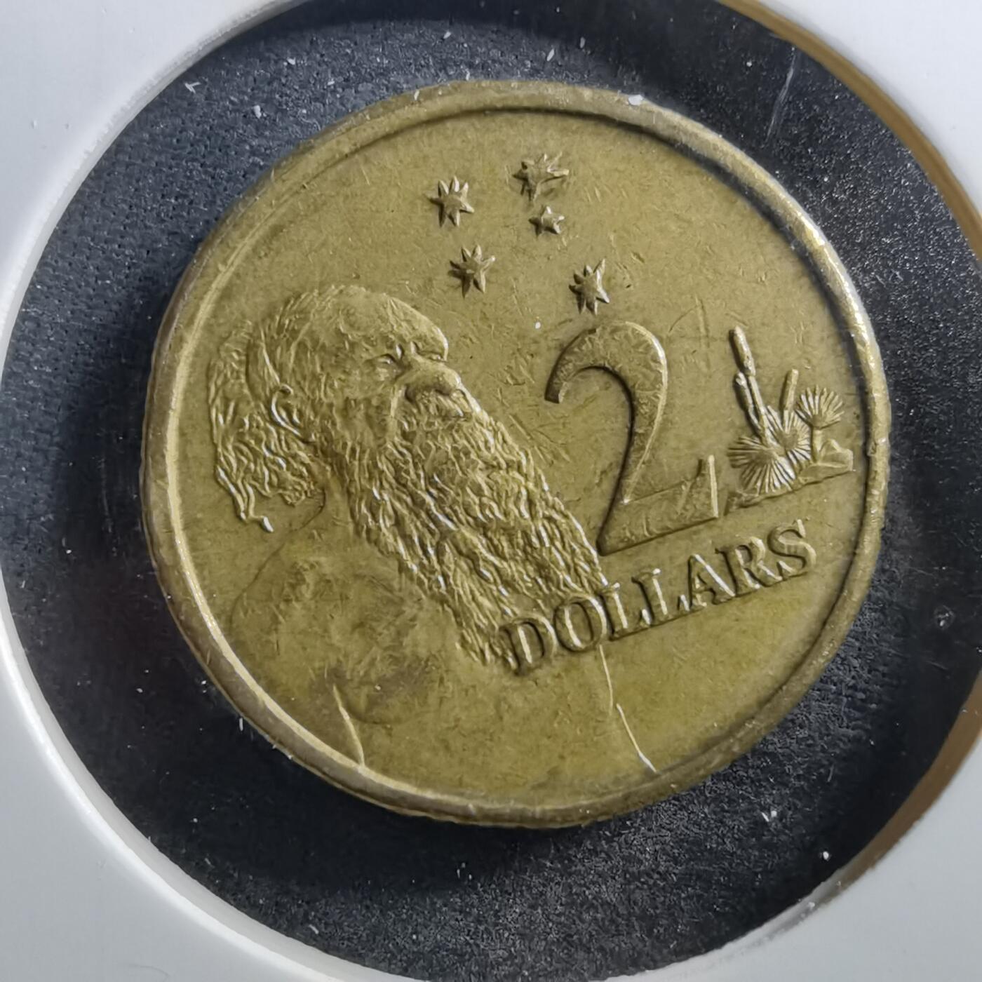 沼泽如烟--第703场