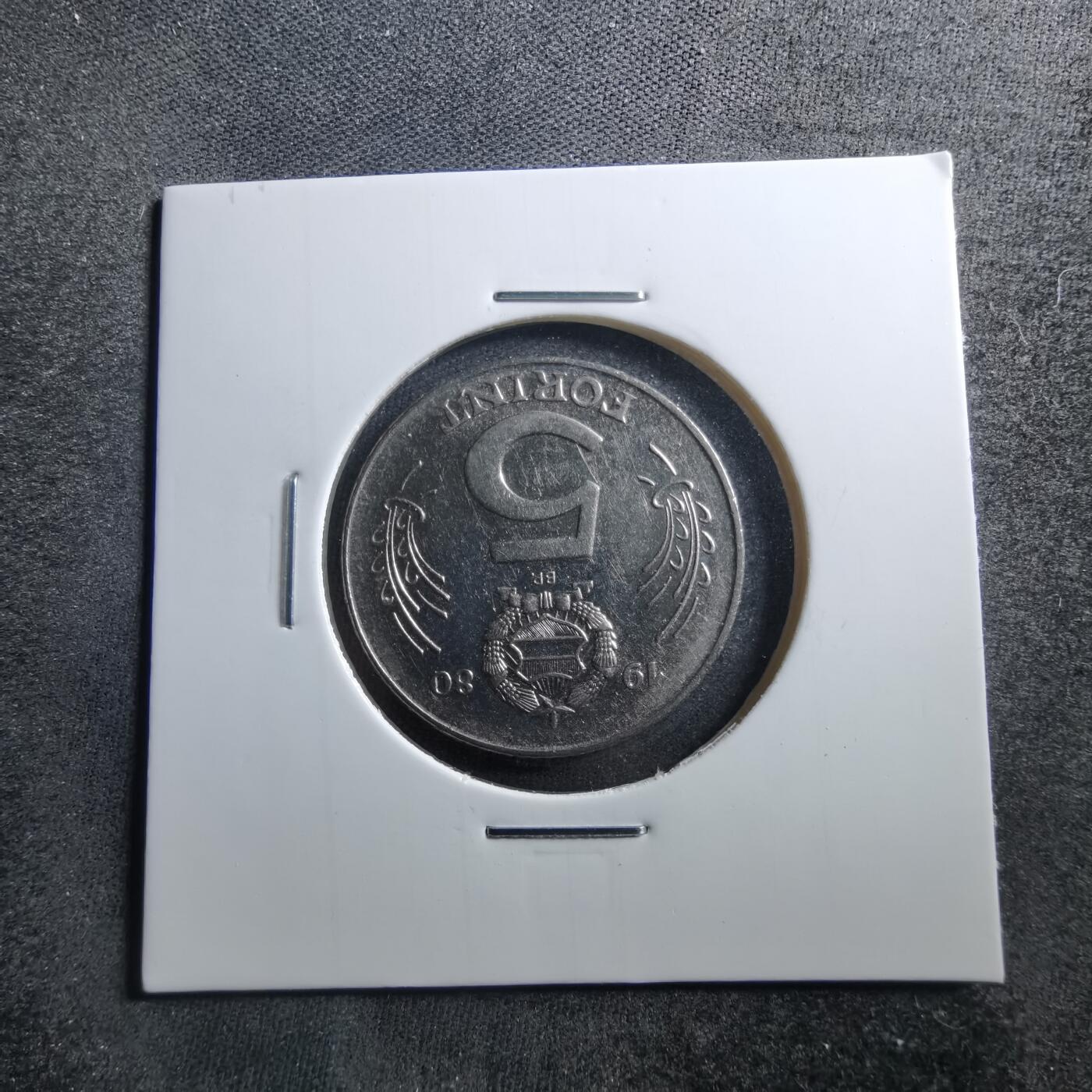 沼泽如烟--第703场