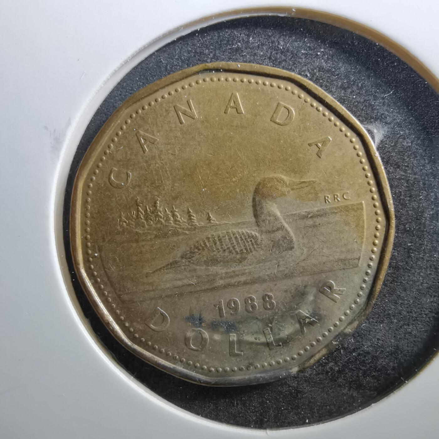 沼泽如烟--第703场