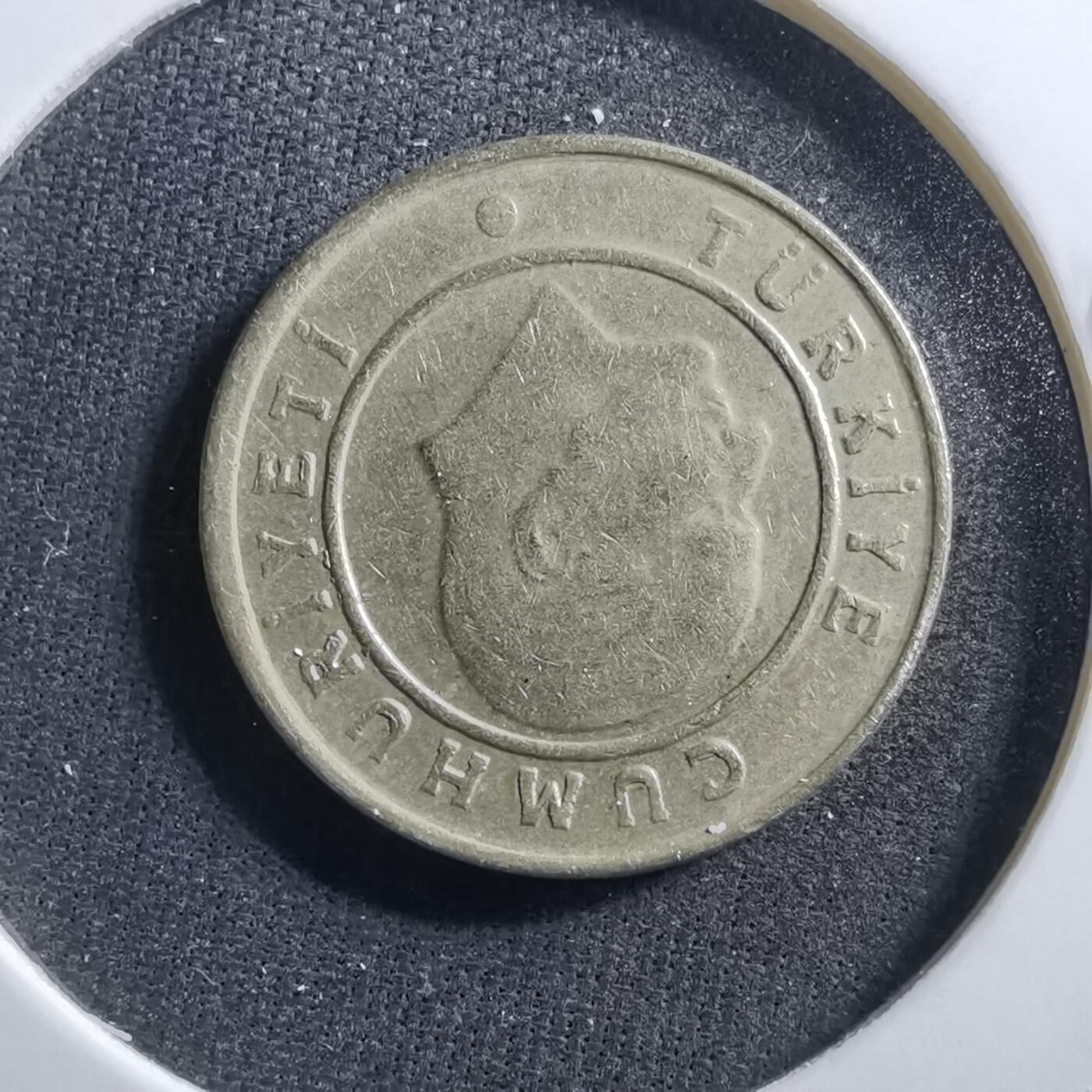 沼泽如烟--第703场