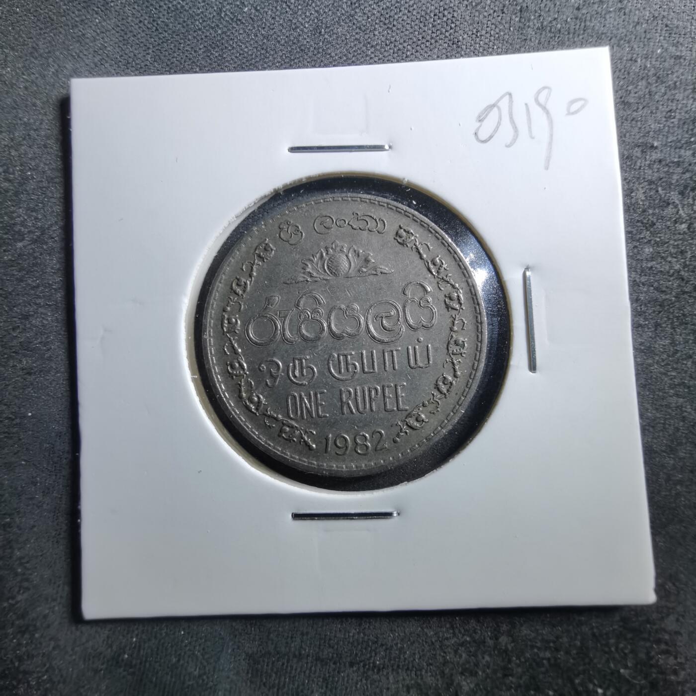 沼泽如烟--第703场