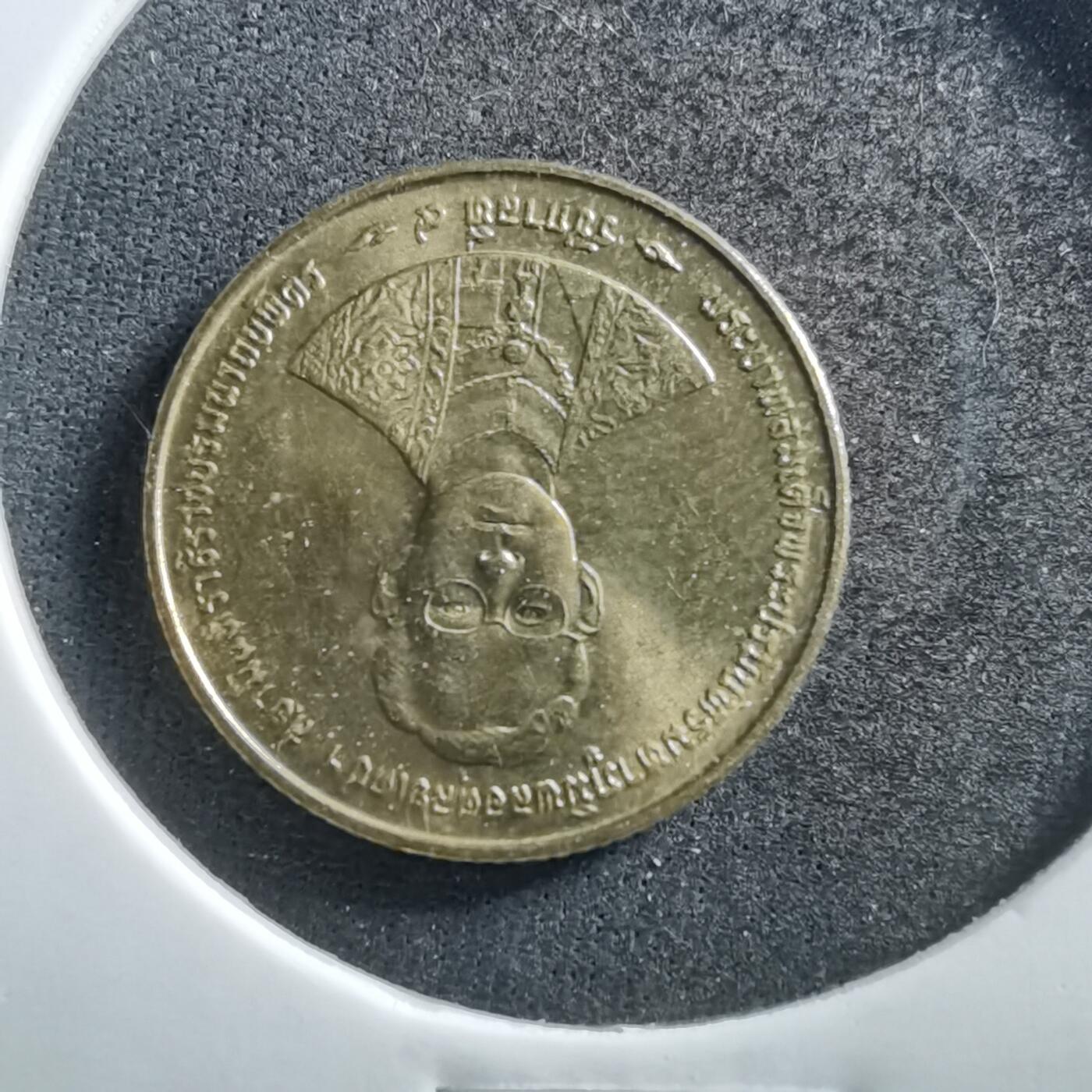 沼泽如烟--第703场