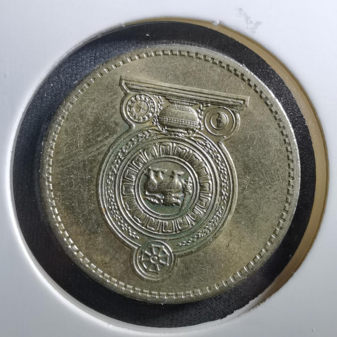 沼泽如烟--第703场