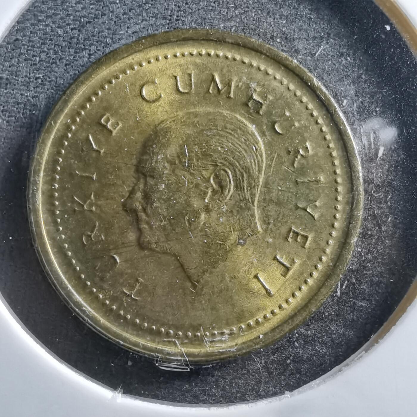 沼泽如烟--第703场