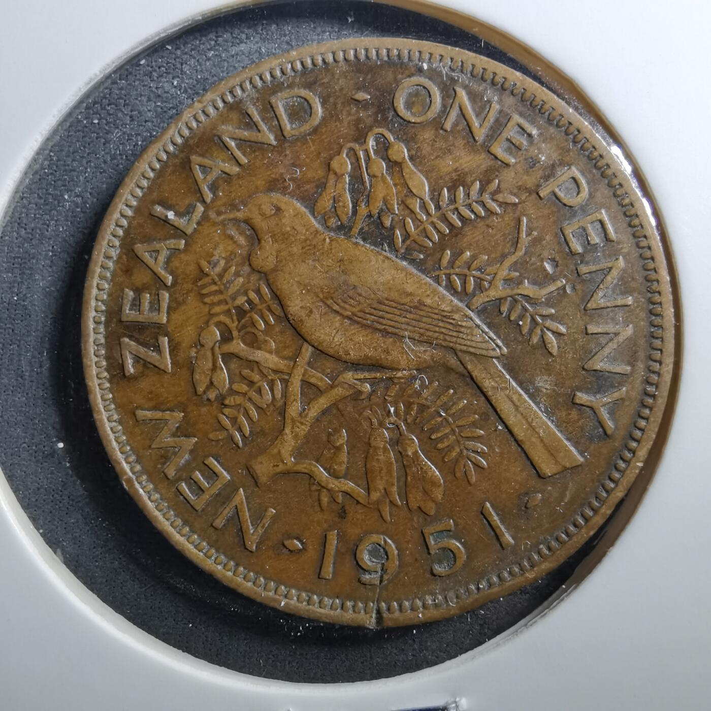 沼泽如烟--第703场