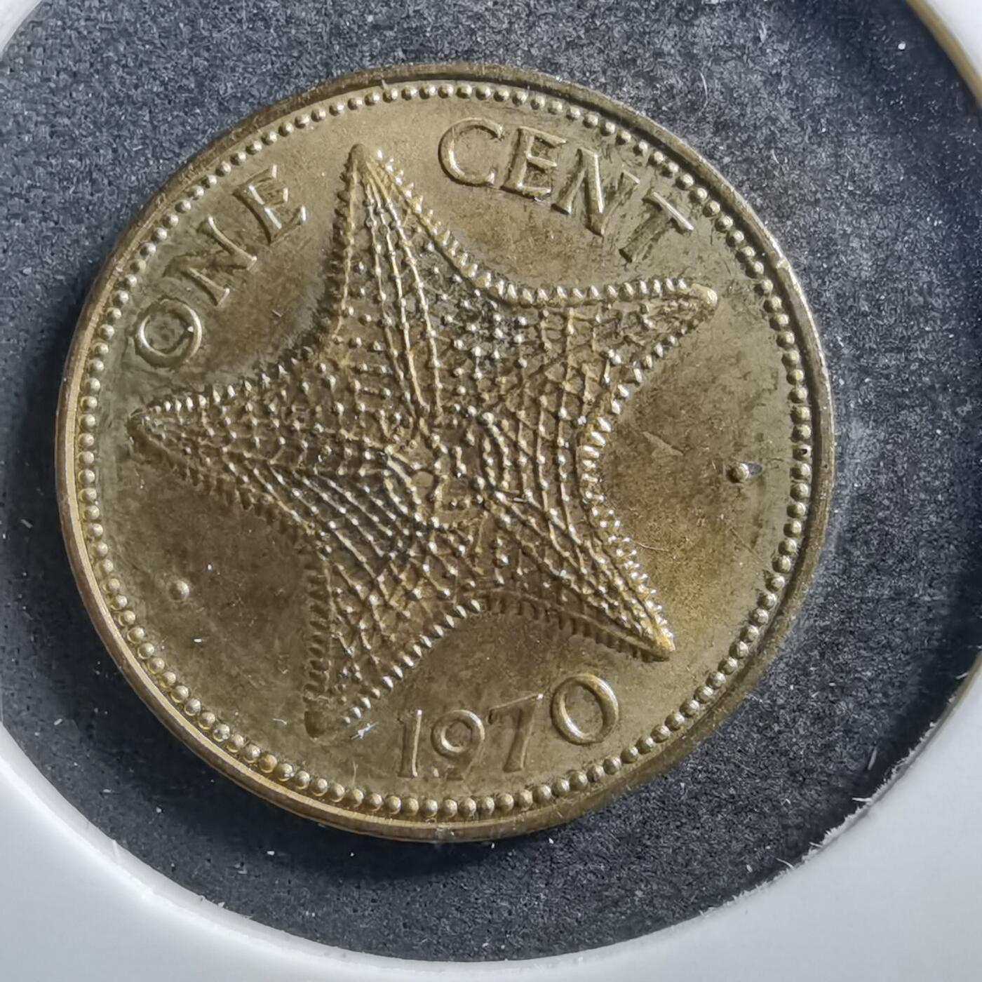 沼泽如烟--第703场