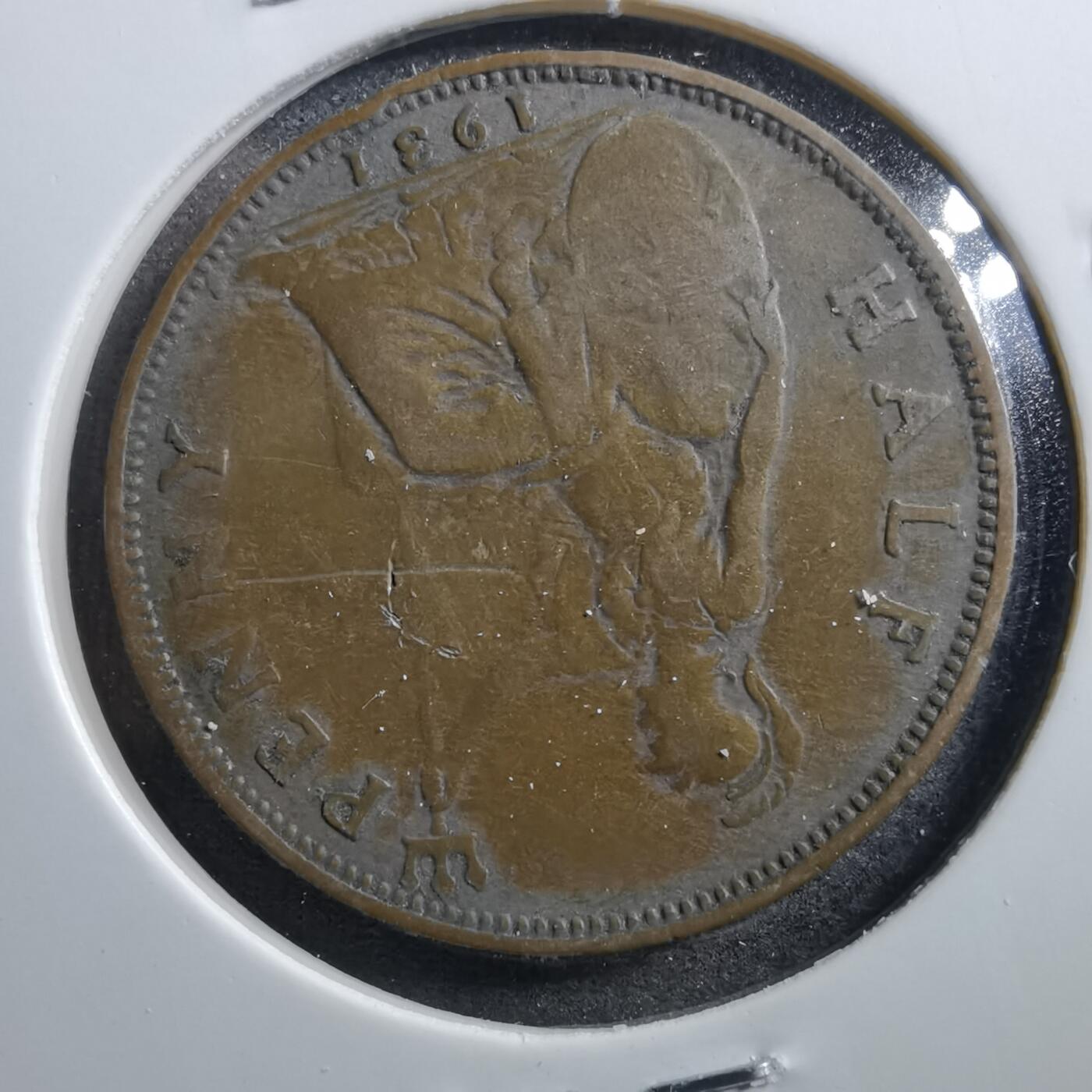 沼泽如烟--第703场