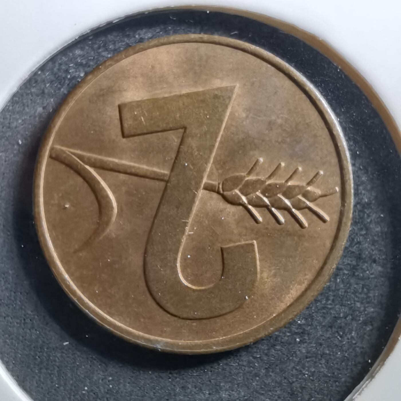 沼泽如烟--第703场