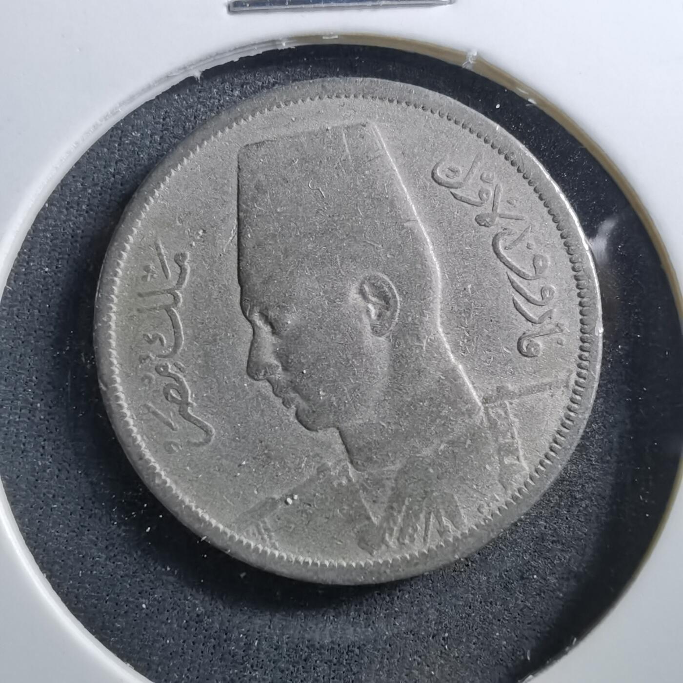 沼泽如烟--第703场