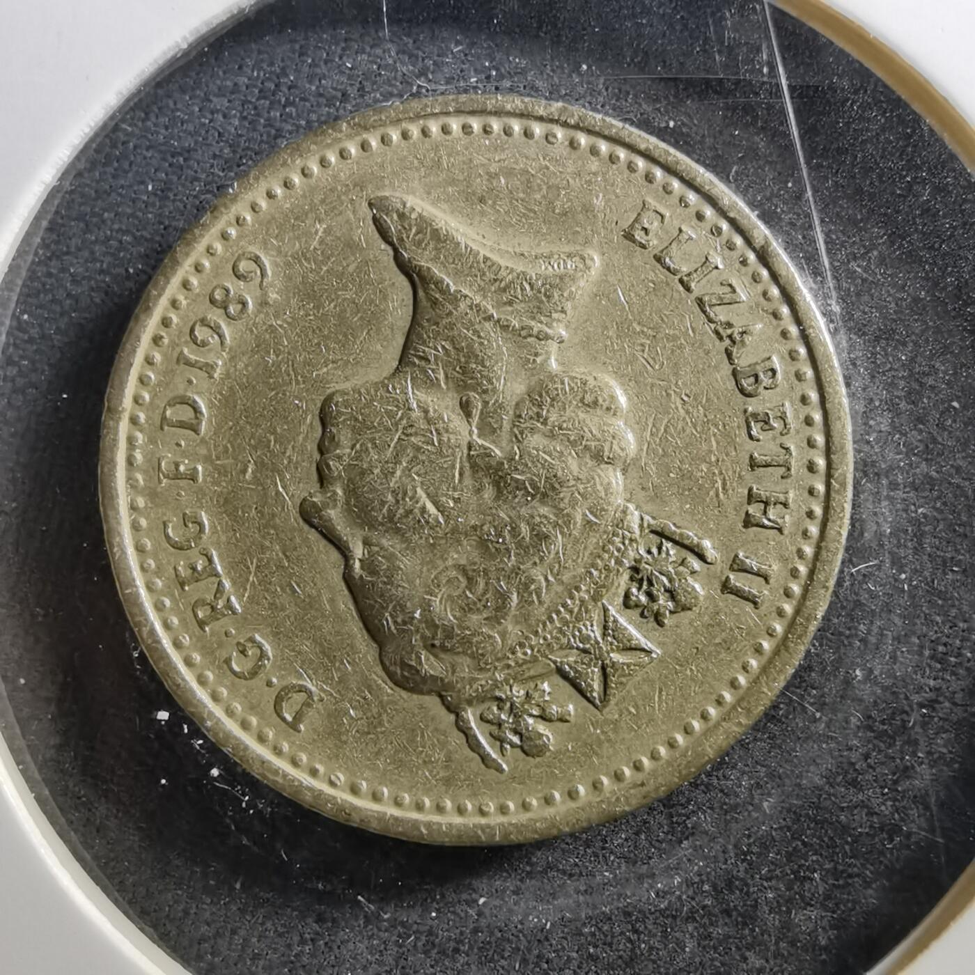 沼泽如烟--第703场