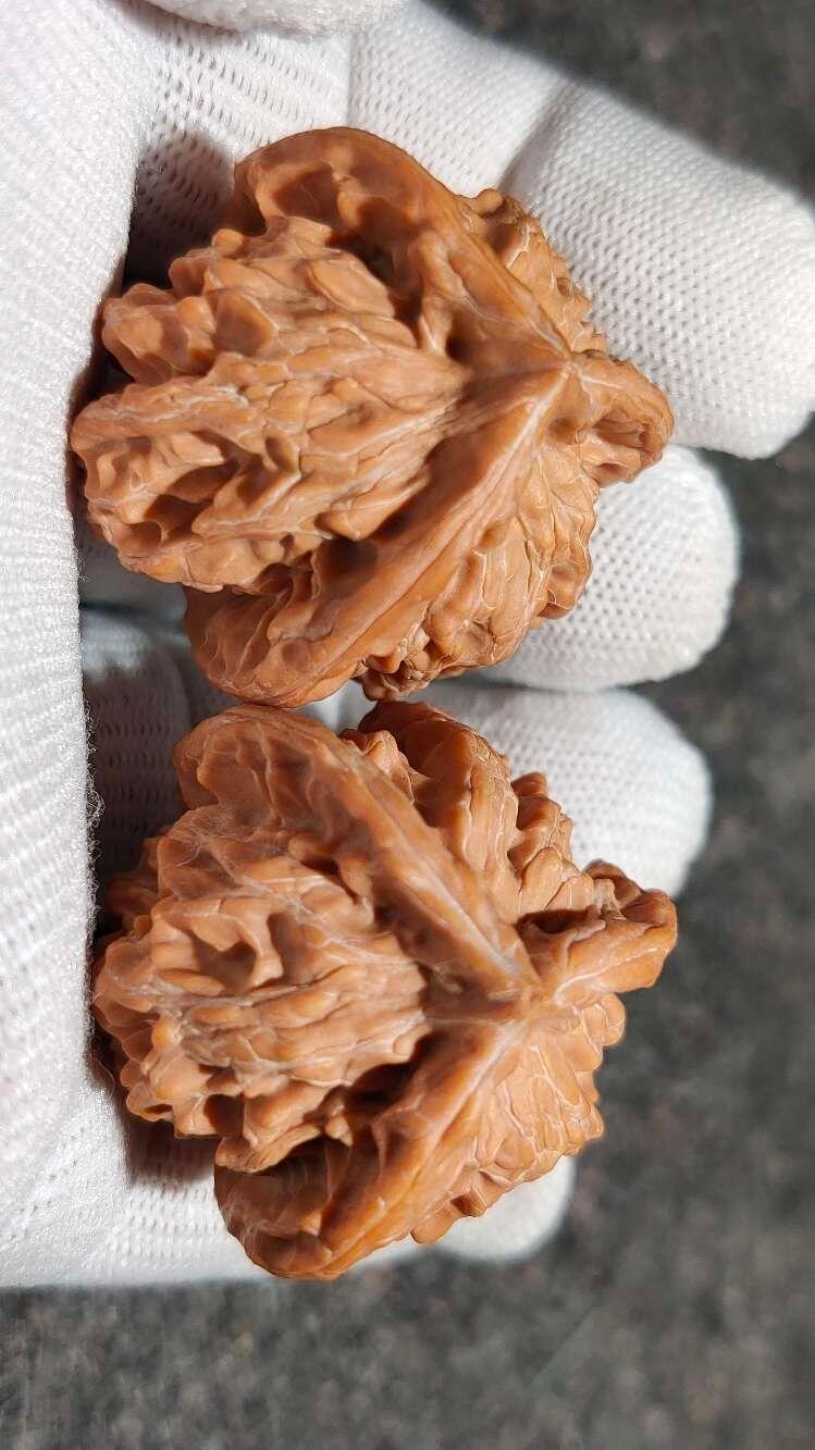 ❤️盘山公子帽三棱核桃(30141) 尺寸边到肚35.35.35mm高38mm