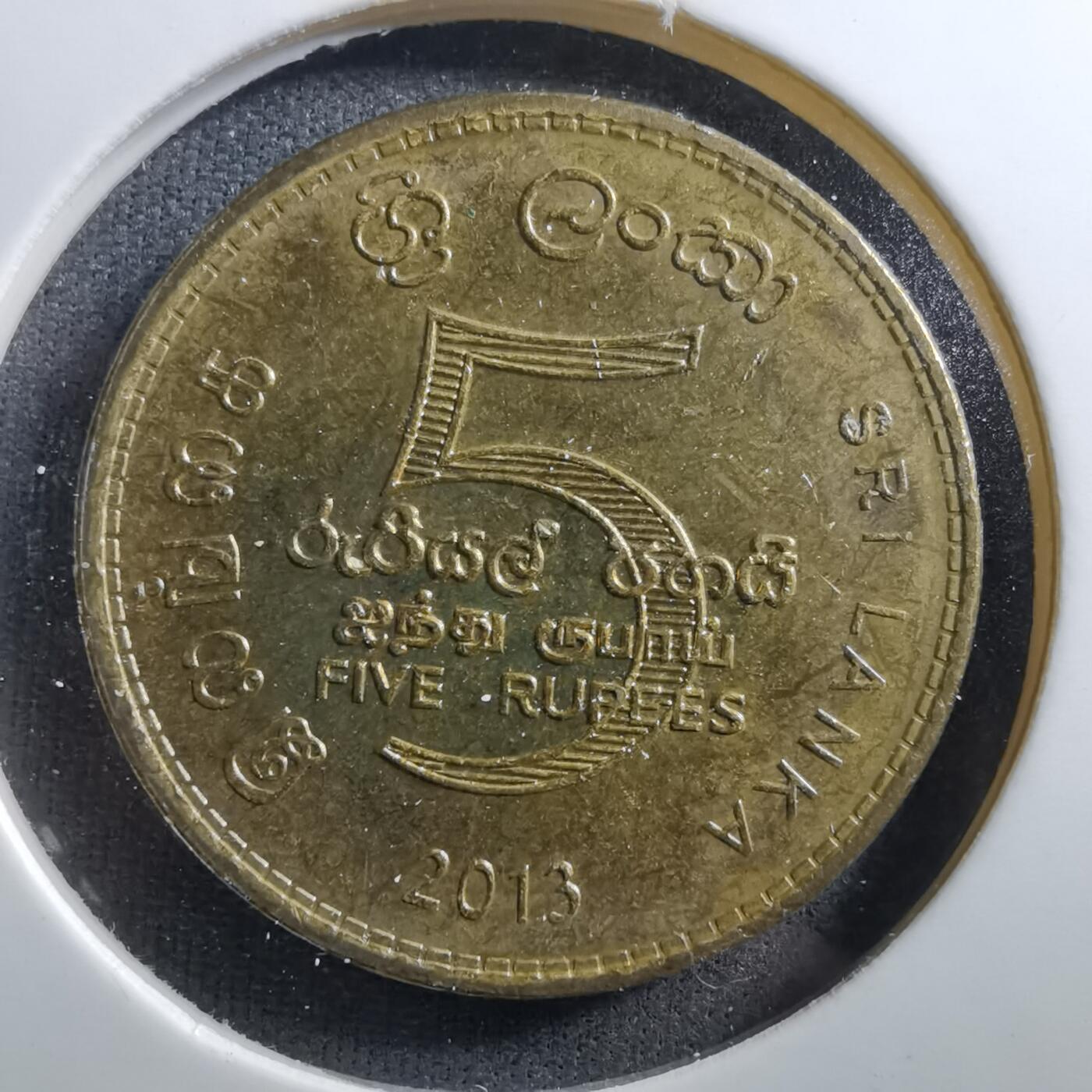 沼泽如烟--第703场