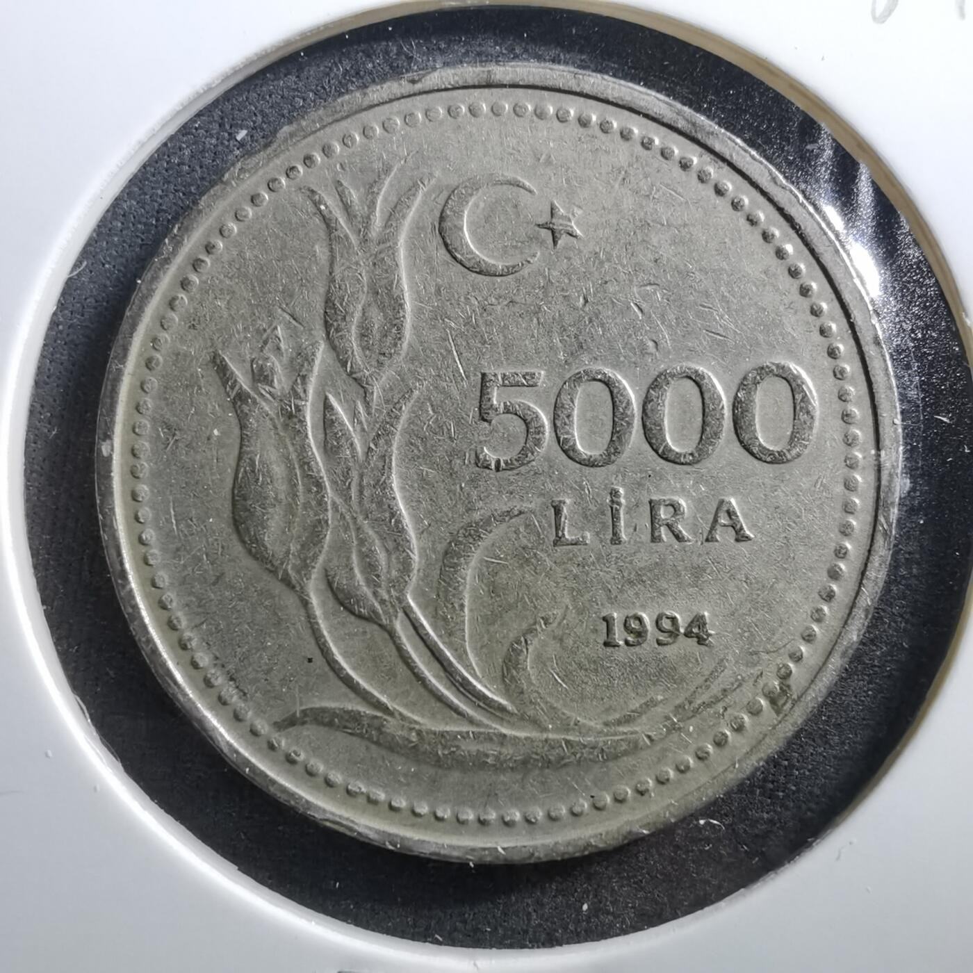 沼泽如烟--第703场