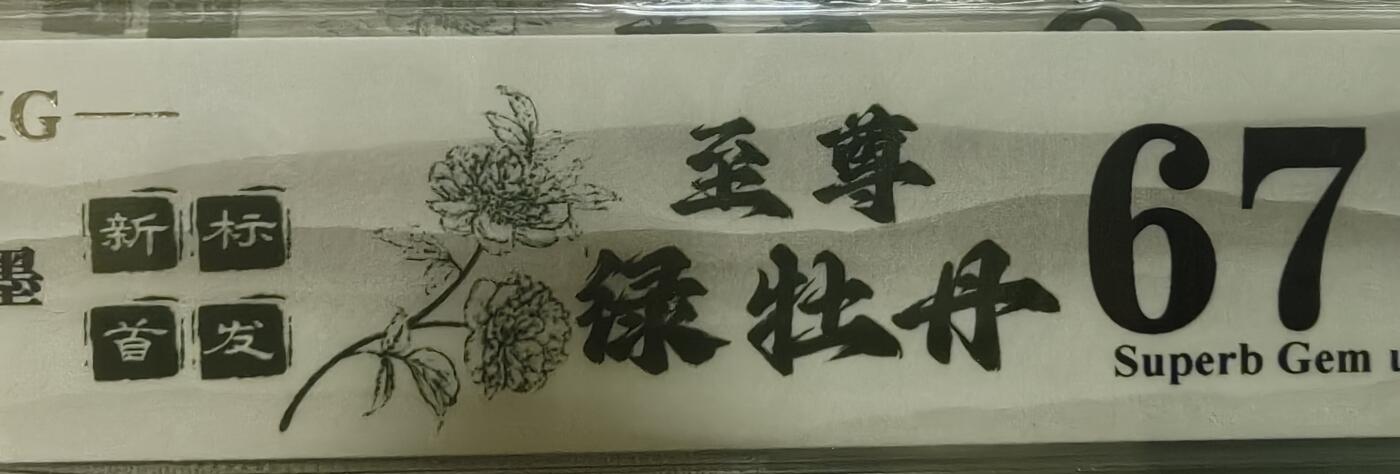 钱币乐园收藏20250809，🈵200元包邮，可以选择寄存，不🈵200着急发货的运费自理，鸽子勿扰，留给有需要的人！！！