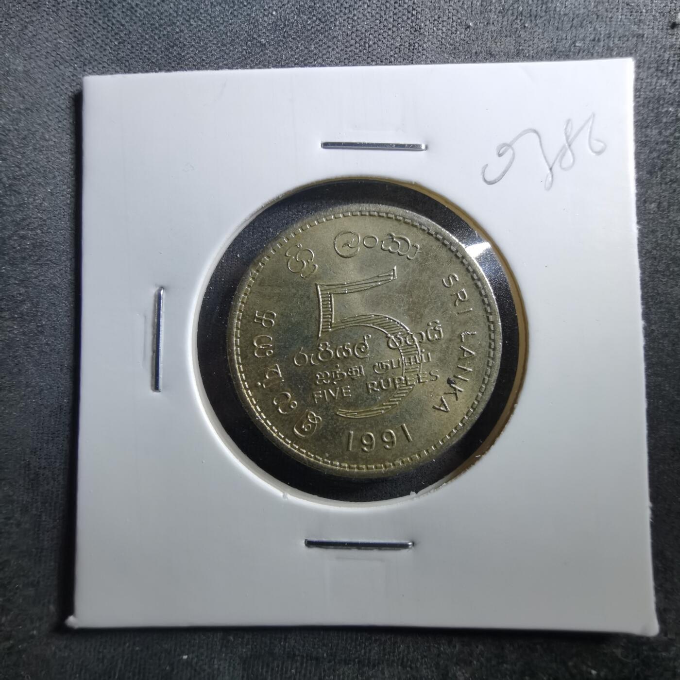 沼泽如烟--第703场