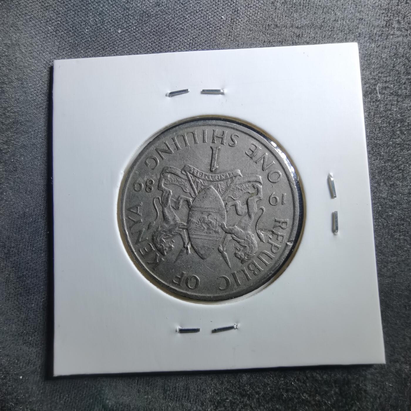 沼泽如烟--第703场