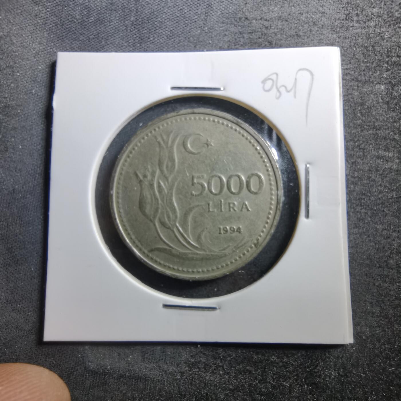 沼泽如烟--第703场