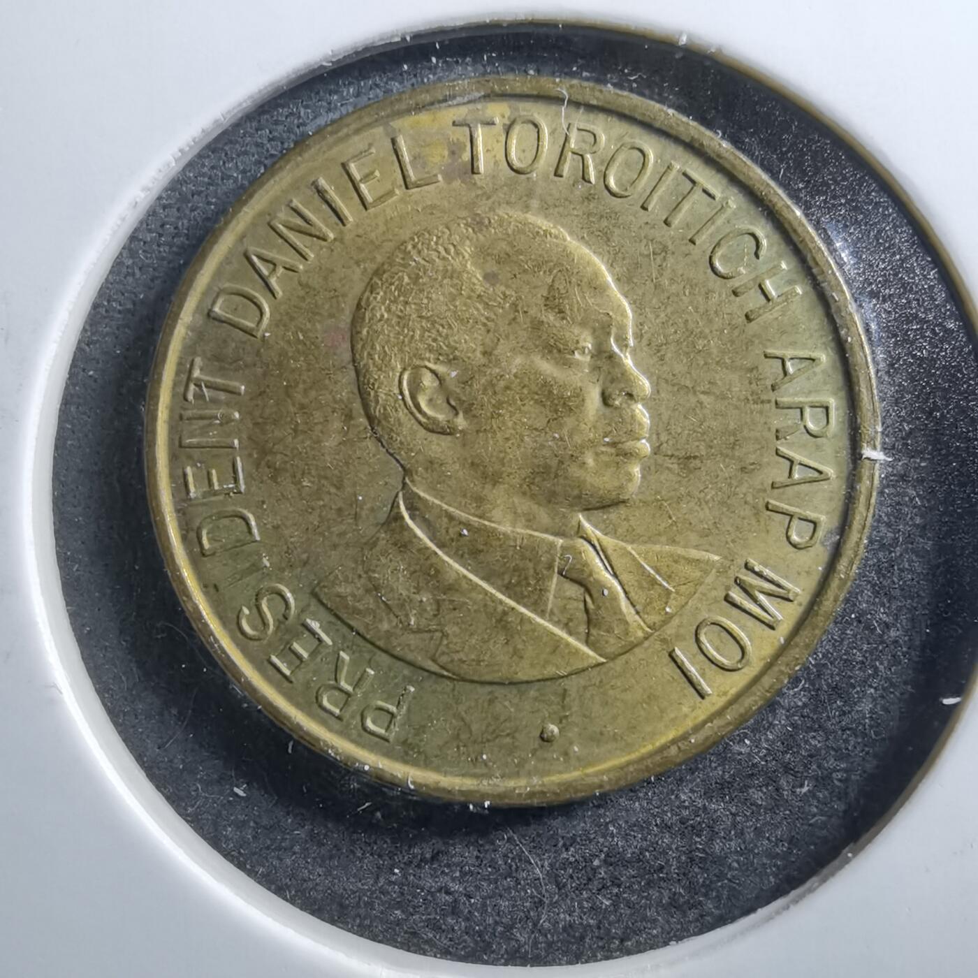 沼泽如烟--第703场