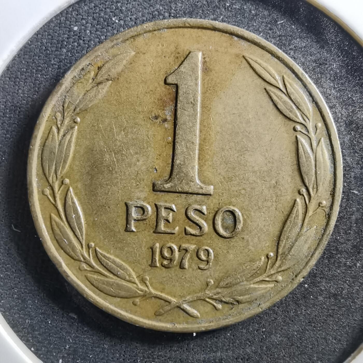 沼泽如烟--第703场