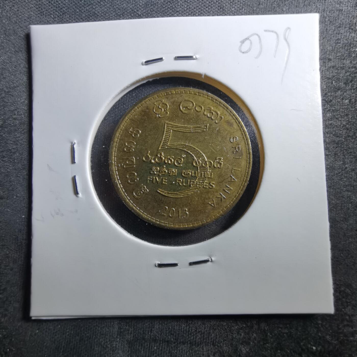 沼泽如烟--第703场