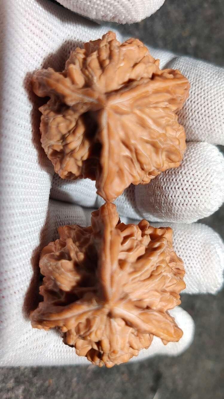 ❤️盘山公子帽三棱核桃(30141) 尺寸边到肚35.35.35mm高38mm