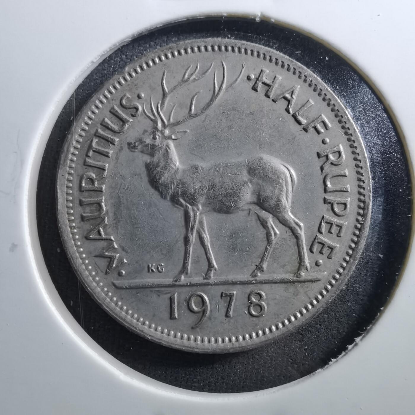 沼泽如烟--第703场