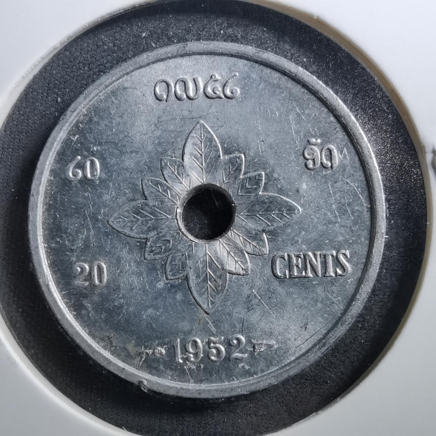 沼泽如烟--第703场