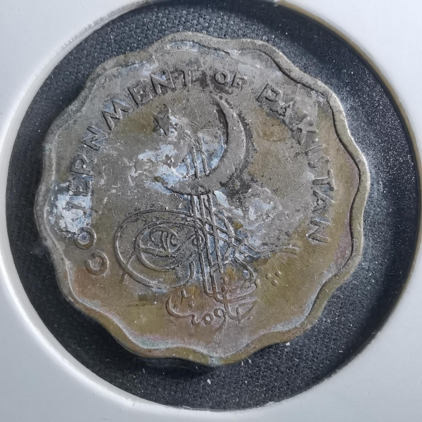 沼泽如烟--第703场