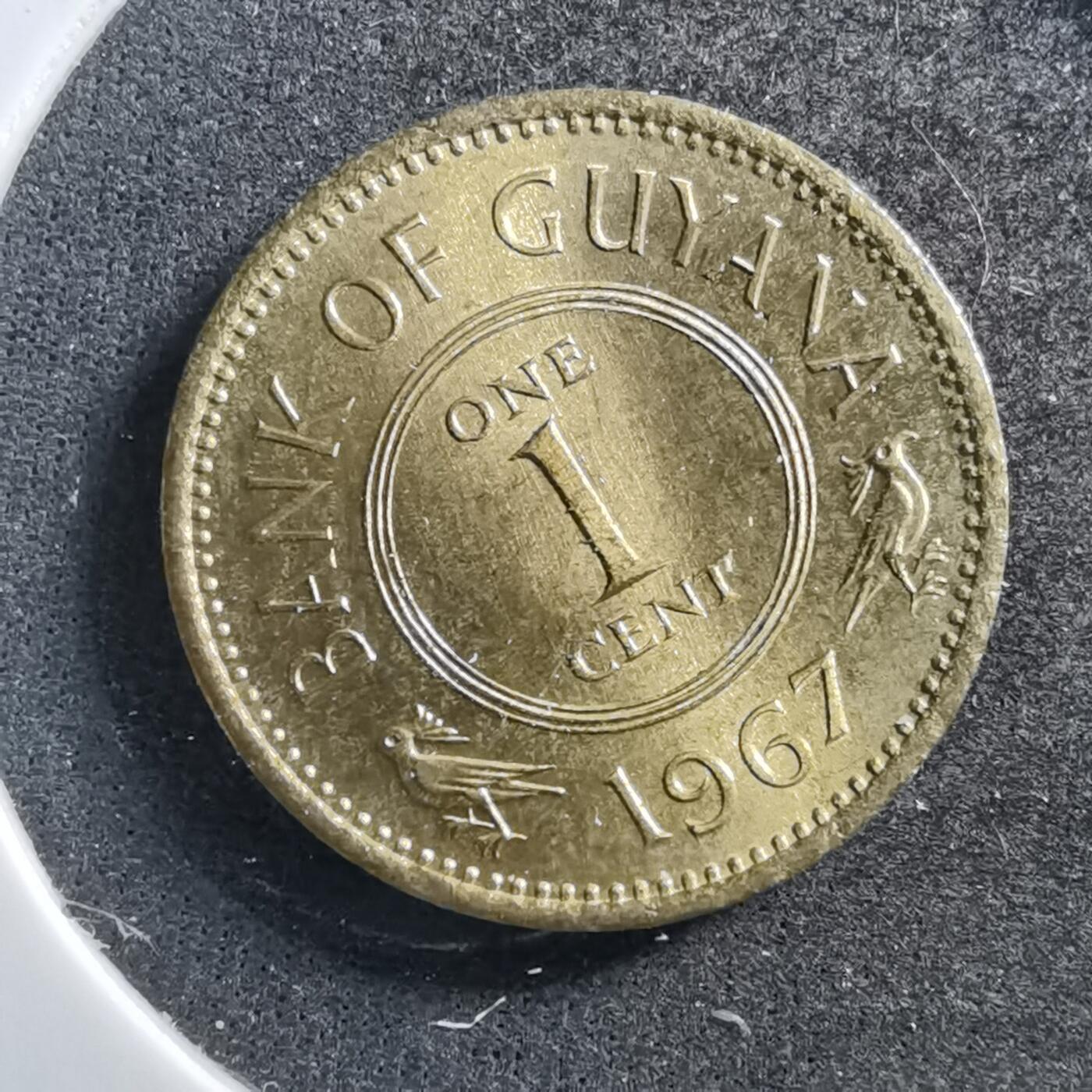 沼泽如烟--第703场