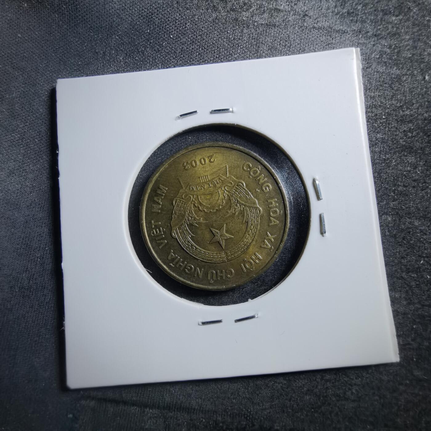 沼泽如烟--第703场