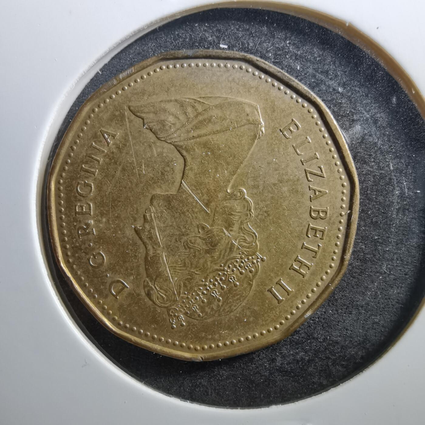 沼泽如烟--第703场